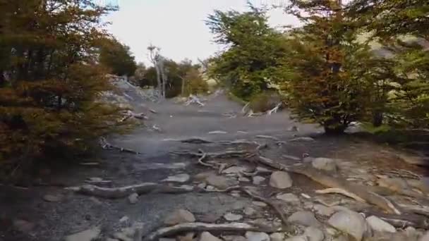 Bellissima natura della patagonia. Trekking in montagna, trekking in Cile, passeggiata in patagonia — Video Stock