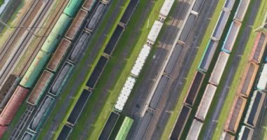 Demiryolu kavşağında bir sürü demiryolu manzarası var. Renkli trenler büyük bir tren istasyonunda duruyor.