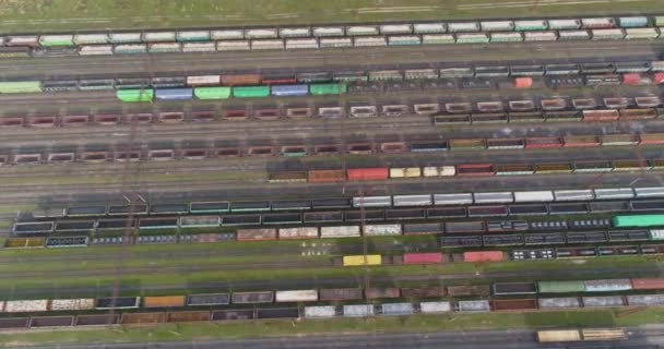 Vista de arriba hacia abajo de los trenes de mercancías en el depósito ferroviario. Trenes de carga a la vista del depósito desde el dron — Vídeo de stock