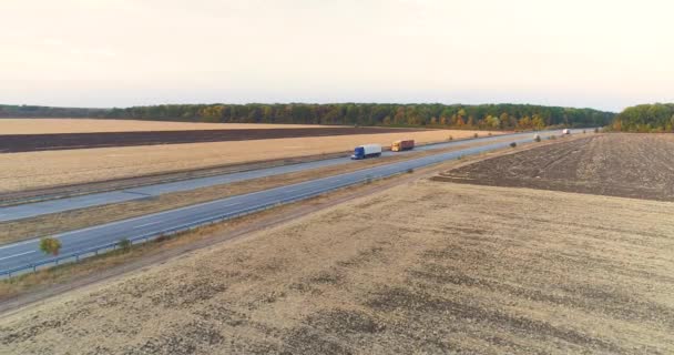 De truck rijdt de zonsondergang tegemoet op een rechte weg. De truck rijdt langs de weg tussen velden bij zonsondergang — Stockvideo