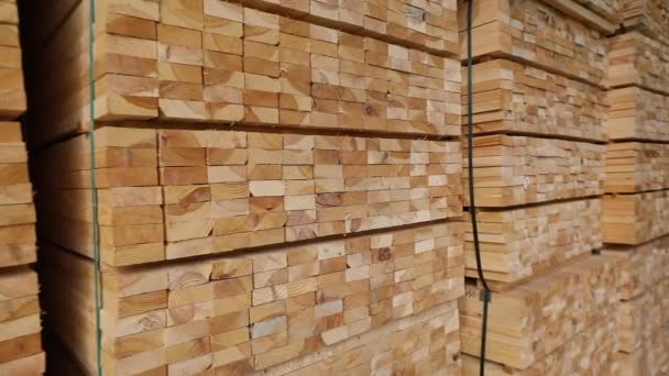 Un grand entrepôt de matériaux ligneux, du bois soigneusement plié dans un entrepôt de scierie, un entrepôt de bois — Video