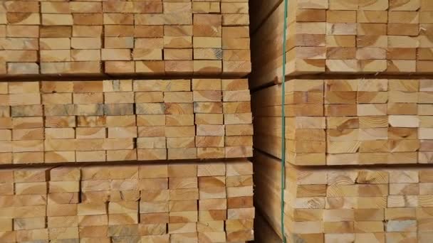 Un gran almacén de materiales de madera, madera cuidadosamente doblada en un almacén de aserradero, almacén de madera — Vídeo de stock