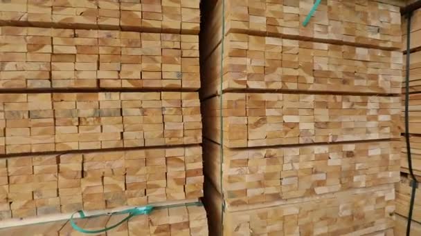 Un gran almacén de materiales de madera, madera cuidadosamente doblada en un almacén de aserradero, almacén de madera — Vídeos de Stock