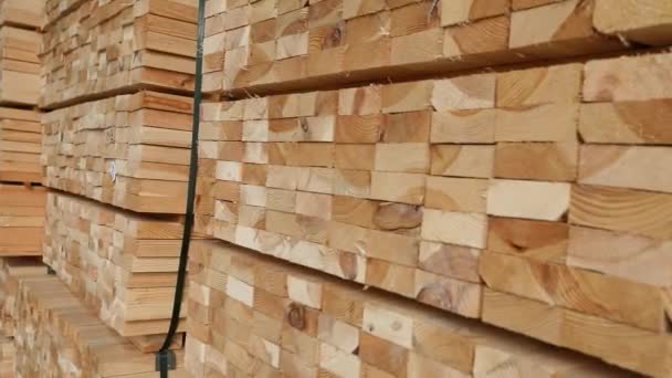 Een groot modern magazijn. Magazijn van hout, rijen houten staven in een magazijn — Stockvideo
