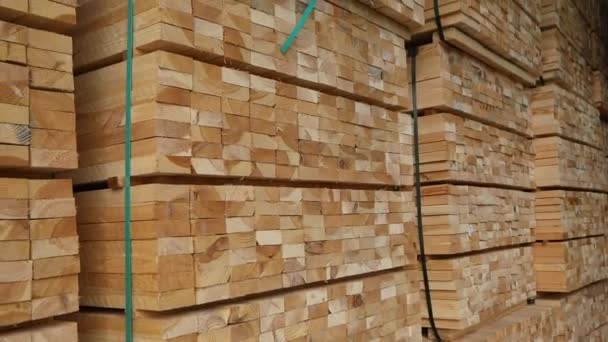 Procesamiento de madera Almacén de madera, filas de barras de madera en el almacén, gran almacén moderno — Vídeos de Stock