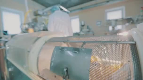 जिलेटिनस शेलमधील गोळ्या ड्रममध्ये फिरत आहेत. फार्मास्युटिकल कारखान्यात वर्कफ्लो. औषधी उत्पादनांचे उत्पादन — स्टॉक व्हिडिओ