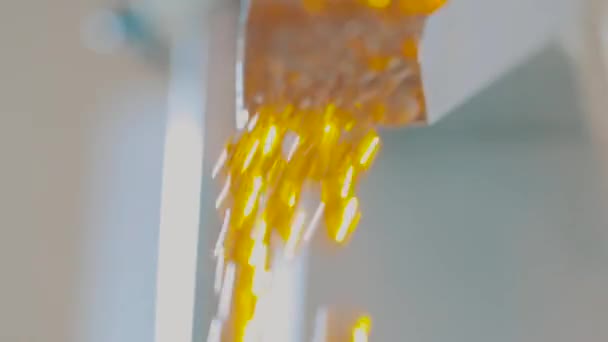 明胶胶囊的特写，明胶胶囊中药物的生产 — 图库视频影像