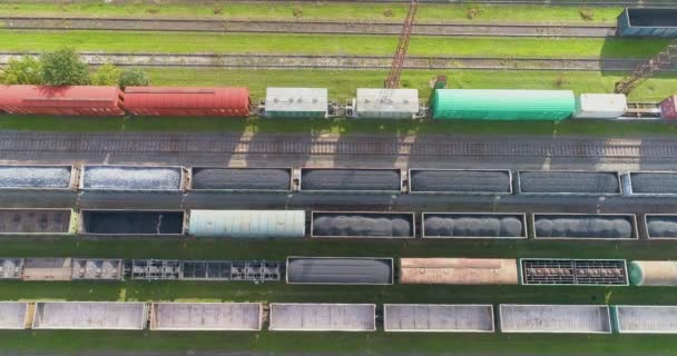 Treinen staan geparkeerd bij het depot bij de spoorwegkruising. Veel gekleurde treinen. Groot industrieel spoorwegdepot. — Stockvideo