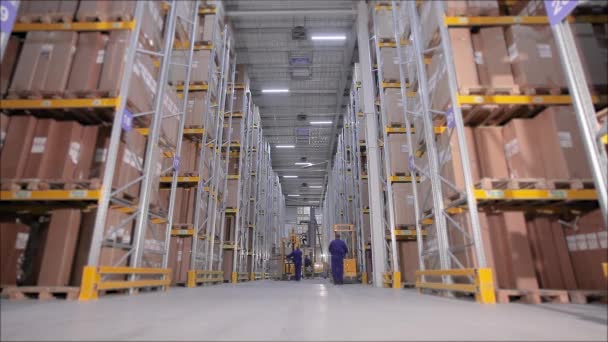 倉庫のタイムラプス、大規模な近代的な倉庫タイムラプス、産業インテリアでの積極的な作業 — ストック動画