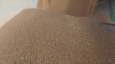 Kamyondan depoya yavaş çekimde buğday boşaltımı, depoya ağır çekimde buğday yüklemesi.