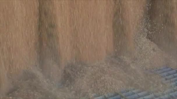 Tarwe oogsten. Het gieten van tarwe uit een vrachtwagen naar een magazijn. Slow motion frame van een tarweval close-up — Stockvideo
