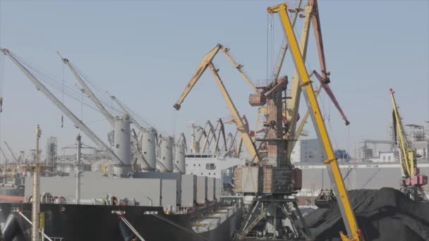 El trabajo de las grúas en el puerto. Puerto marítimo. Grúas más grandes en el puerto, grúas cargan materiales a granel — Vídeo de stock