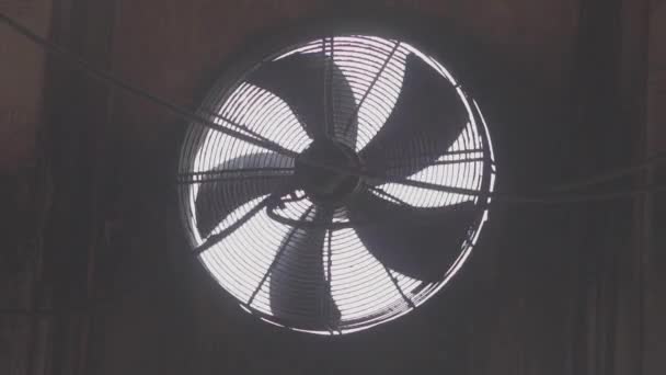 Ventilación en producción, ventiladores más grandes para ventilación de locales industriales — Vídeos de Stock