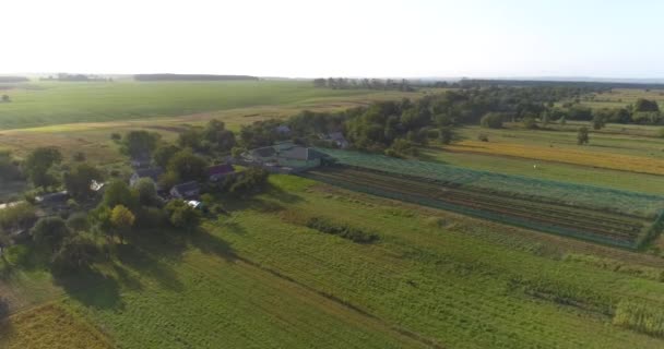 Vlieg over een kleine lucht op het platteland. Kleine boerderij op het platteland bij zonsondergang. Landbouwluchtbeeld. Boerderij vanuit de lucht — Stockvideo