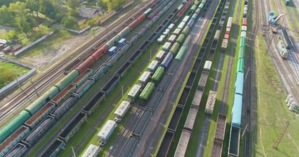 Los trenes de mercancías están en la vista superior del cruce ferroviario. Volar sobre un gran cruce ferroviario. — Vídeo de stock