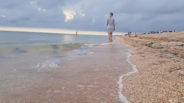 Dziewczyna idzie wzdłuż brzegu morza. Dziewczyna spaceruje boso po plaży. Dziewczyna na morzu spaceruje wzdłuż plaży. — Wideo stockowe