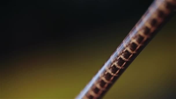 铜丝现代工厂铜电缆.铜电缆的生产 — 图库视频影像