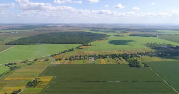 Agricultura vista superior. Belos campos bem tratados vista superior. Vista superior da fazenda — Vídeo de Stock