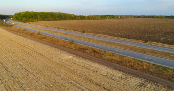 A kamion napsütéses időben száguld a mezőn. Teherautó vezet egy gyönyörű úton. A teherautó végigmegy a mezőn felülnézetből. — Stock videók