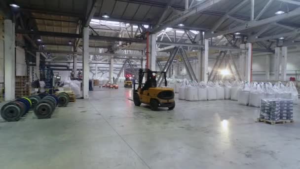 Forklifts in a large warehouse, active workflow in the warehouse. Forklifts move in a large bright warehouse — Stock Video
