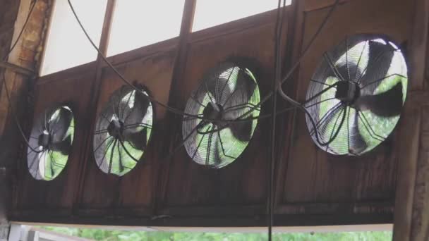 Ventiladores industriais close-up. Sistema de circulação de ar em um close-up da fábrica. Rotação de grandes ventiladores em uma fábrica — Vídeo de Stock