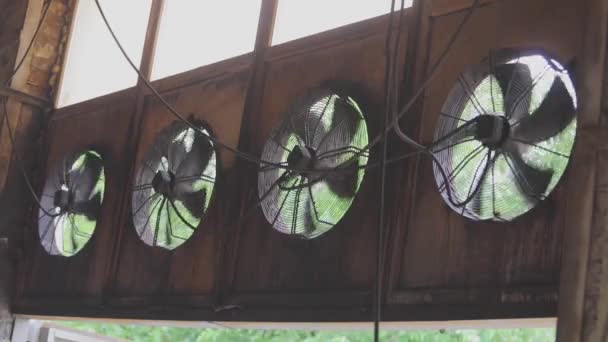 Larger fans for ventilation of industrial premises. Ventilation in production — Stock Video