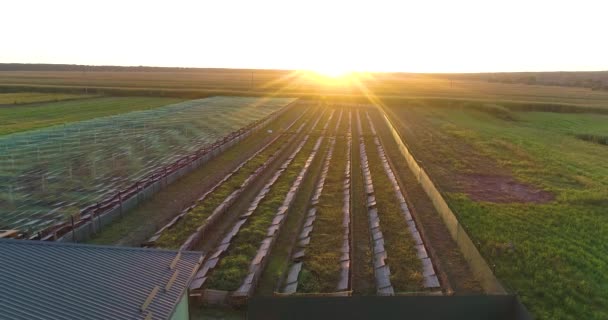 Mezőgazdasági légi felvétel. Tanya a levegőből. Repülj át egy kis levegőn vidéken. Kisgazdaság vidéken naplementekor. — Stock videók