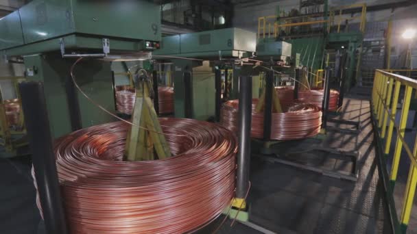 Kablo üretimi ve fabrikadaki makineler. Modern kablo fabrikası. Kablo üretimi — Stok video