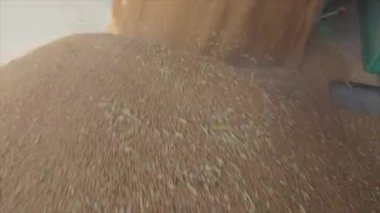 Kamyondan depoya yavaş çekimde buğday boşaltımı, depoya ağır çekimde buğday yüklemesi.