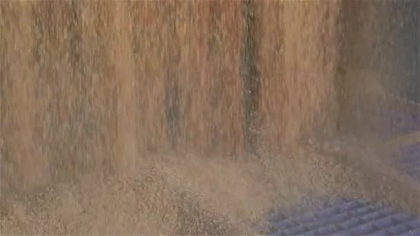 Caricamento del grano nei silos di stoccaggio, una bella cornice di grano — Video Stock