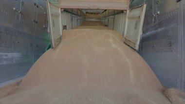 Buğdaylı depo. Buğday asansörüne yükleniyor.