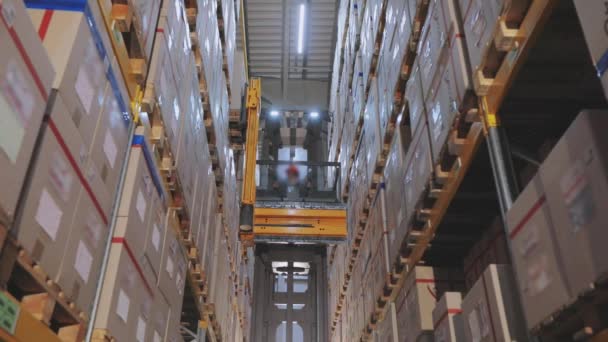 Вилочный погрузчик перестраивает коробки на складе, крупном промышленном складе, движение техники на складе — стоковое видео