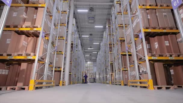 Arbetsflöde i lager, stor maskin i lager, modern gaffeltruck i lager — Stockvideo