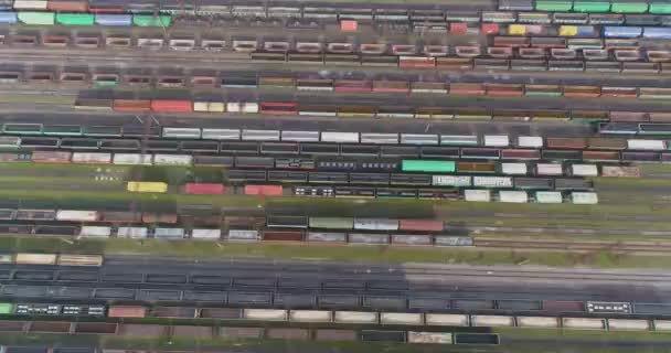 Duży węzeł kolejowy z pociągami towarowymi widok z góry. Widok z góry pociągów towarowych na węźle kolejowym. Latanie nad pociągami na dworcu — Wideo stockowe