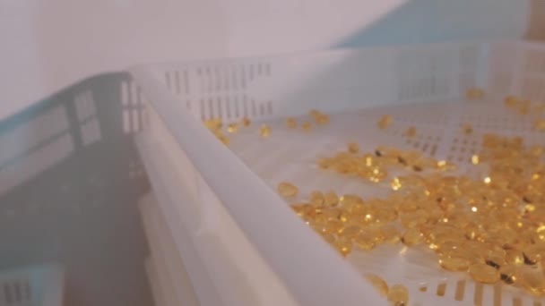 Pill production at a pharmaceutical factory. Orange tablets on a conveyor line. — Stock Video