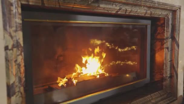 Feu dans la cheminée. Le bois de chauffage brûle dans la cheminée. Belle cheminée avec bois — Video
