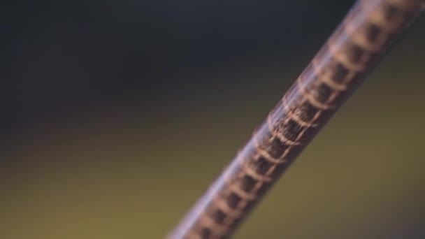 Close-up copper cable, cable manufacturing process. Wire production close-up — Stock Video