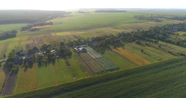 Fliegen Sie über eine Schneckenfarm. Schneckenfarm Luftaufnahme. Schneckenfarm von oben gesehen. — Stockvideo