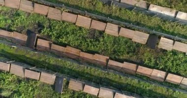 Salyangoz çiftliği hava manzarası. Salyangoz çiftliği manzaralı. Salyangoz çiftliğinin üzerinden uç