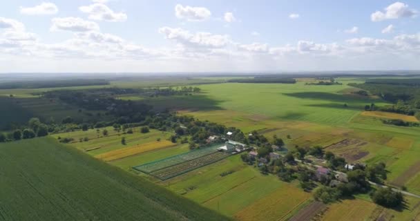 Vackra välvårdade fält ovanifrån. Utsikt över jordbruksfälten. Farm ovanifrån. Översiktsbild för jordbruket. — Stockvideo