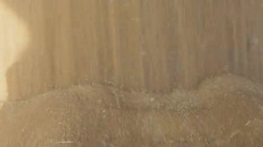 Tahıl, asansörde depolamak için kamyondan boşaltıldı.