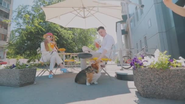 Un couple dans un café d'été avec leurs corgi. Corgi est assis près de ses propriétaires dans un restaurant — Video