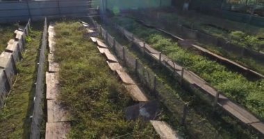 Salyangoz çiftliği hava manzarası. Salyangoz çiftliği manzaralı. Salyangoz çiftliğinin üzerinden uç