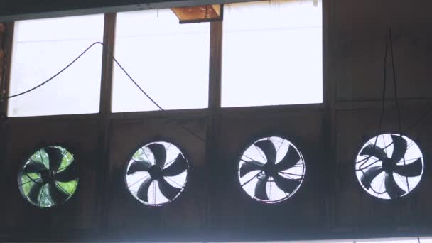 Ventilación en producción, ventiladores más grandes para ventilación de locales industriales — Vídeos de Stock