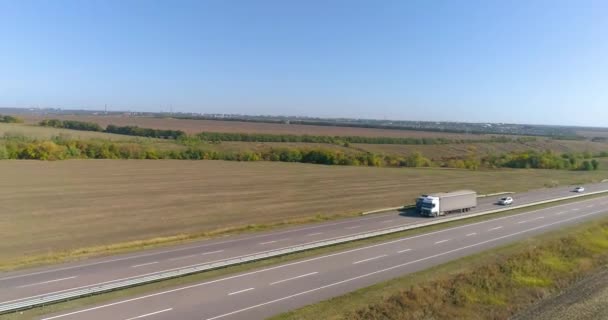 Er rijdt een vrachtwagen langs de snelweg. Zicht van een drone. De wagen rijdt langs een gebogen weg tussen de velden bovenaanzicht — Stockvideo