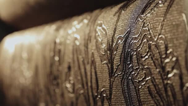 Rolls with wallpaper. Detailní ozdoba. Stojan s tapetami v obchodě — Stock video