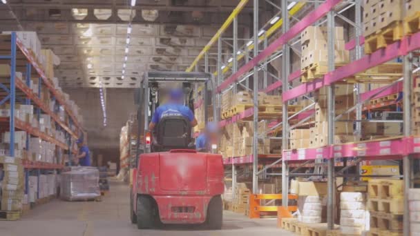 Uma empilhadeira monta em um armazém. Empilhadeira em um grande armazém de fábrica — Vídeo de Stock