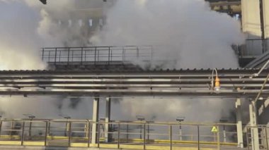 Kokain işleminden sonra kokain fırını kömürünün soğutulması. Kola fırını kömür üretimi. Metalurji girişimi