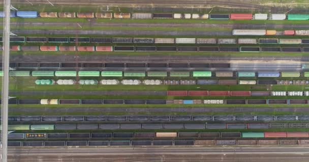 Vista de arriba hacia abajo de los trenes de mercancías en el depósito ferroviario. Trenes de carga a la vista del depósito desde el dron — Vídeo de stock