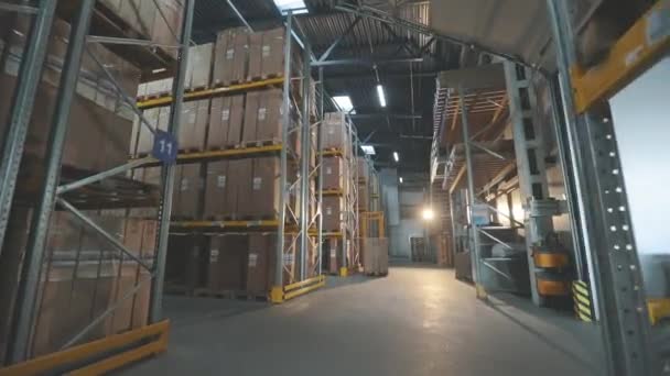 Сучасний склад на заводі. Великий сучасний склад. Склад з коробками — стокове відео